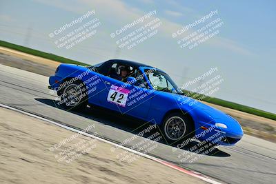 media/May-24-2025-Turn8 Trackdays (Sat) [[034586b55d]]/5 Inter 1/Session 2 (Cotton Corners-Grapevine)/